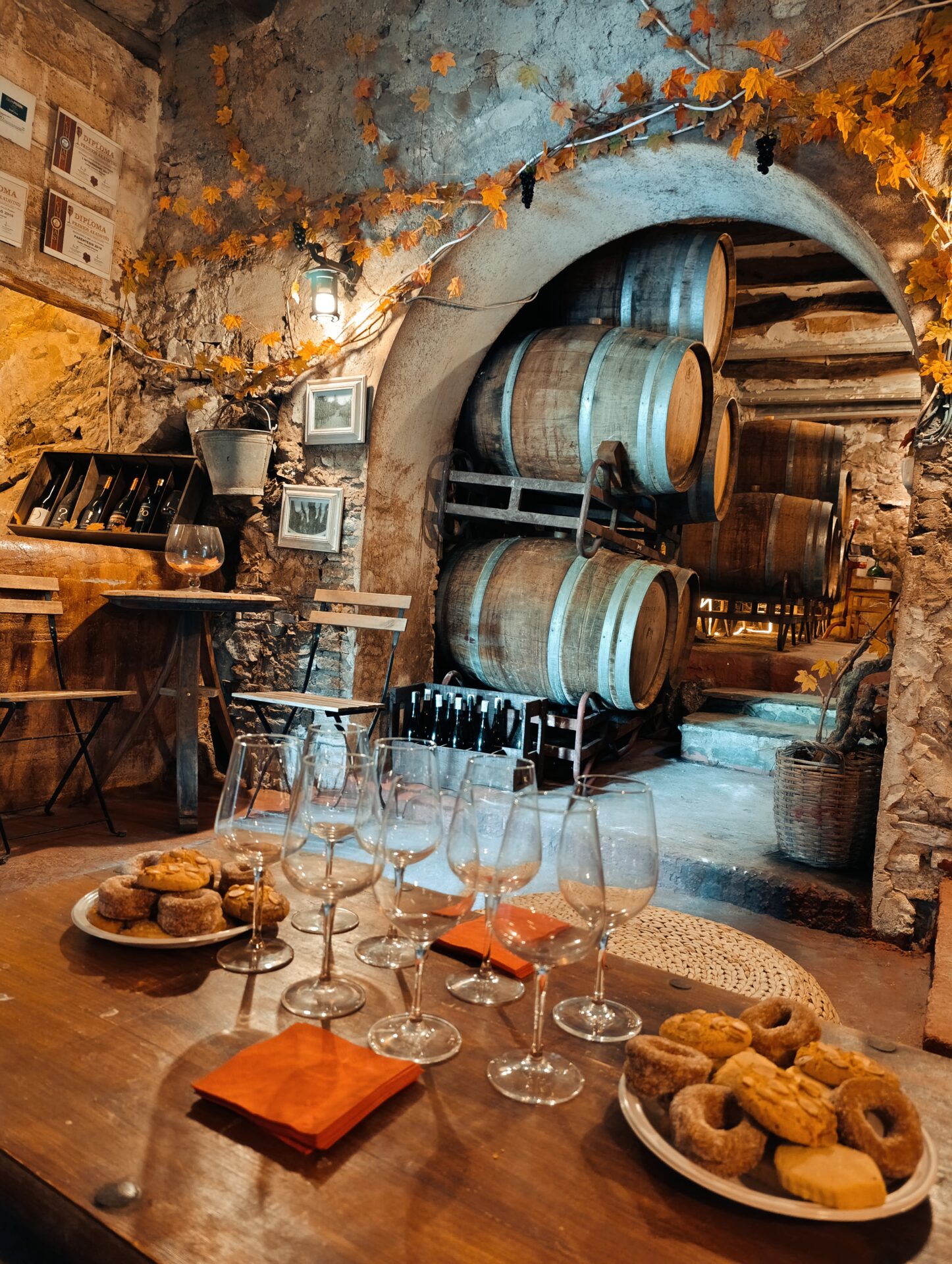 Experiencia Visita Premium Clos 93
