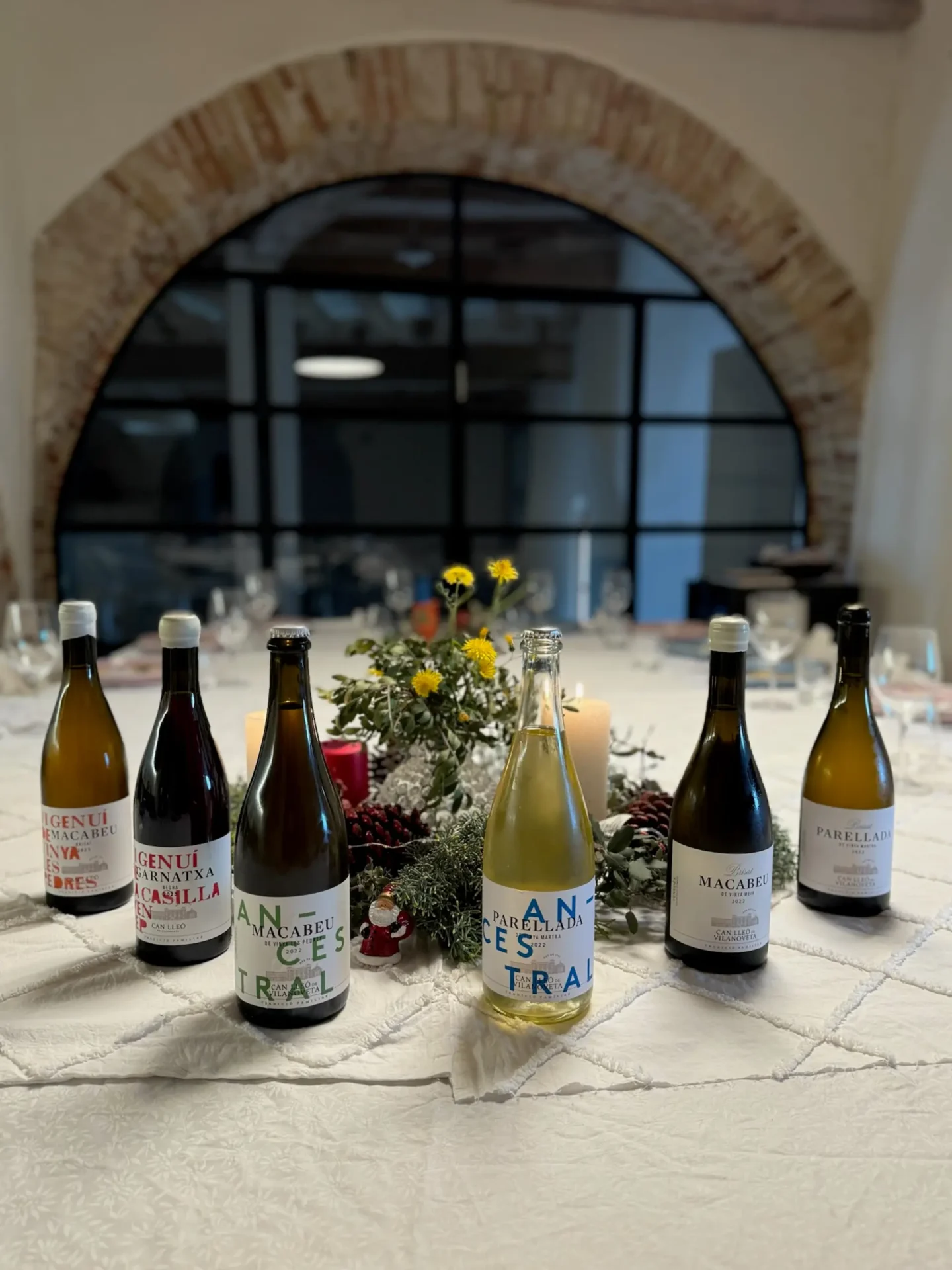 Vinos Can Lleó