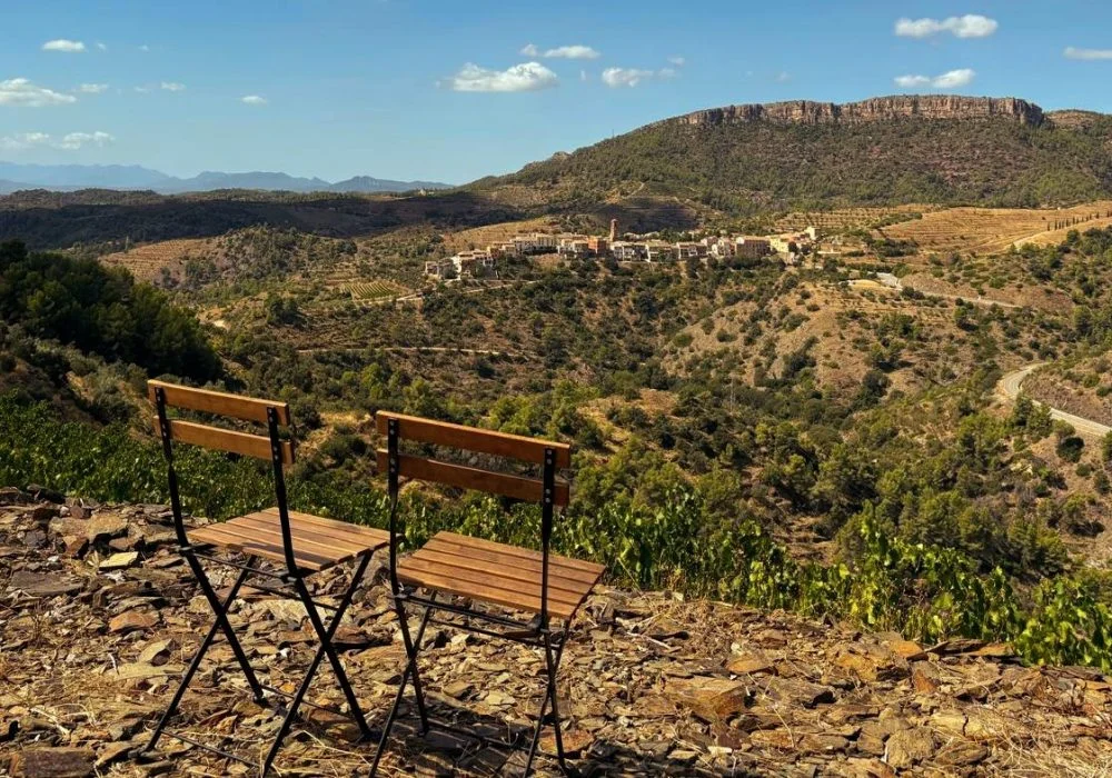 Vistas Viñedos Clos 93