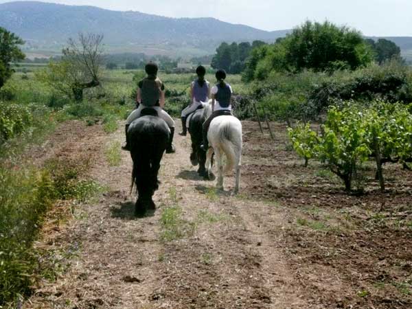 Experiencia Ruta a Caballo Miquel Jané