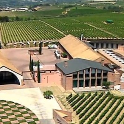 bodega-juve-y-camps
