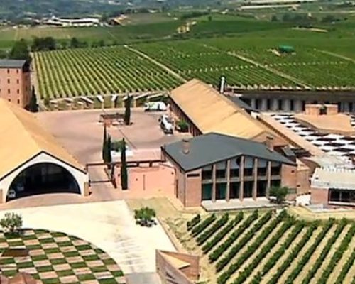 bodega-juve-y-camps