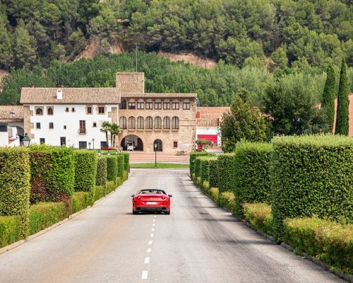discover-the-most-beautiful
